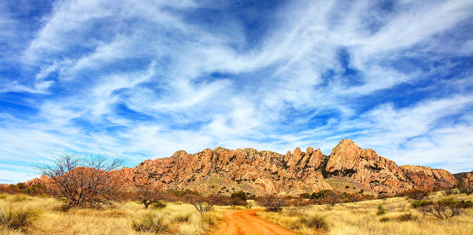 Desert in Arizona
