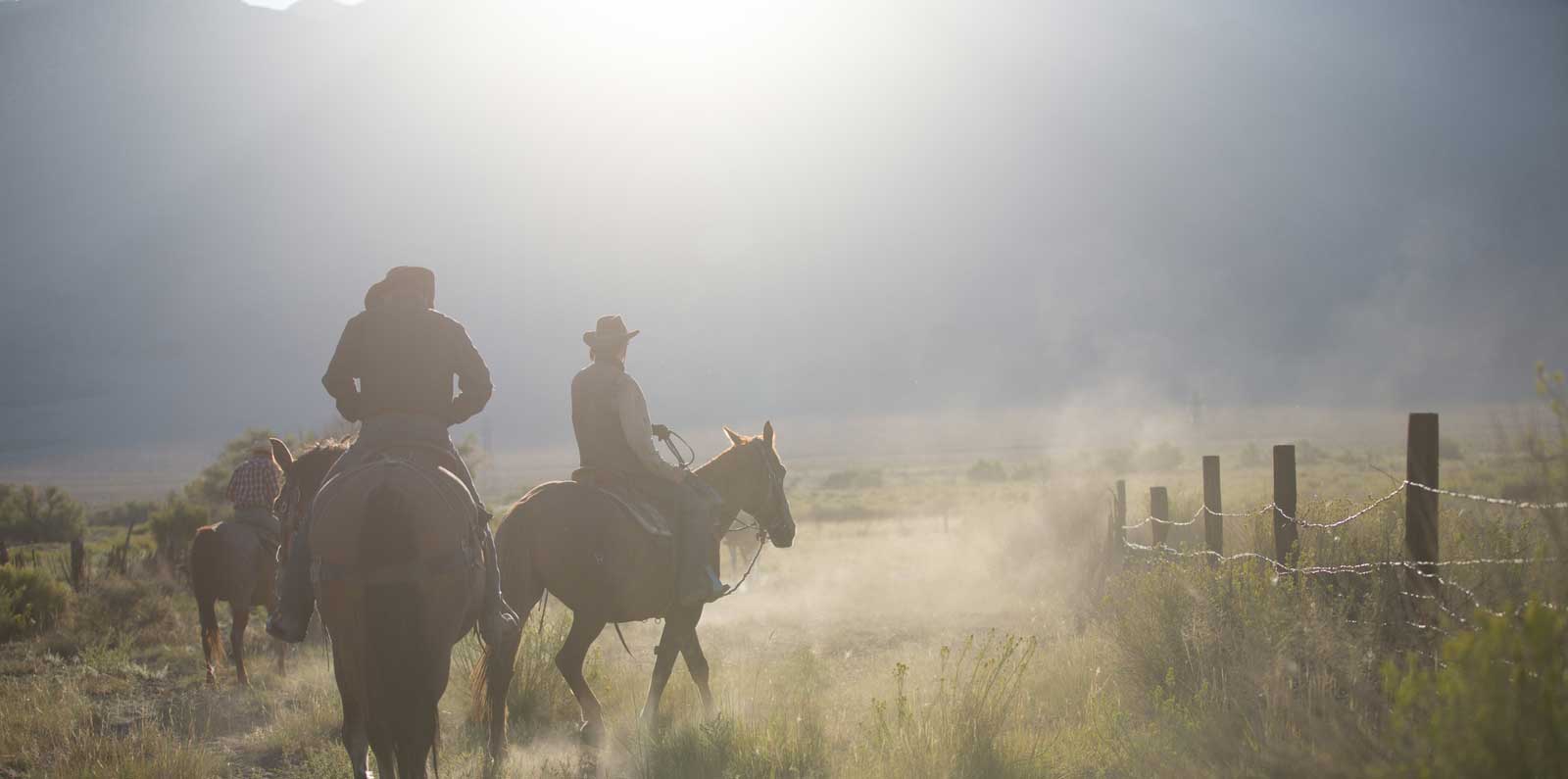 Three cowboys horse-back riding in Arizona
